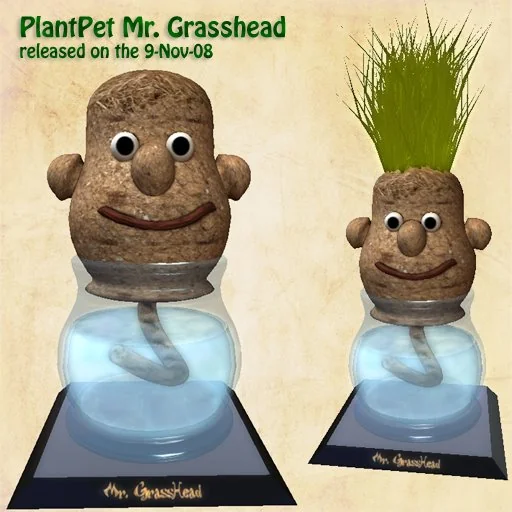 Mr. Grasshead