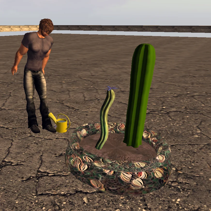 XS Cactus