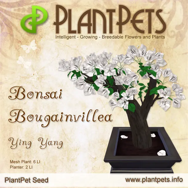 Poster for Bonsai Bougainvillea *Ying Yang*