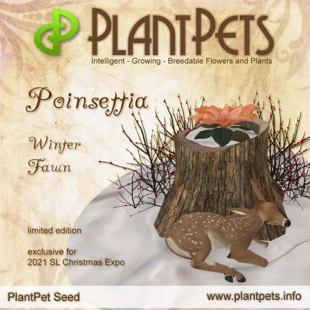 Poster for Poinsettia *Winter Fawn*