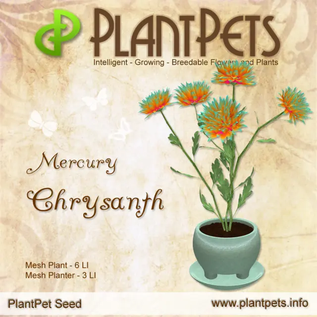 Poster for Chrysanth *Mercury*