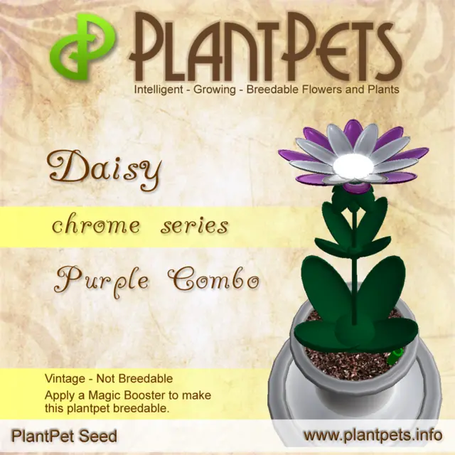 Poster for Daisy *Chrome Purple Combo*
