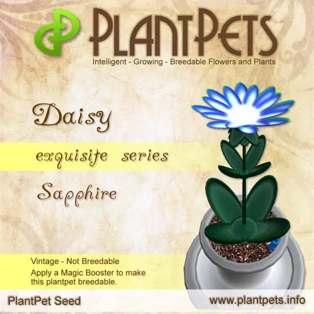 Poster for Daisy *Sapphire*