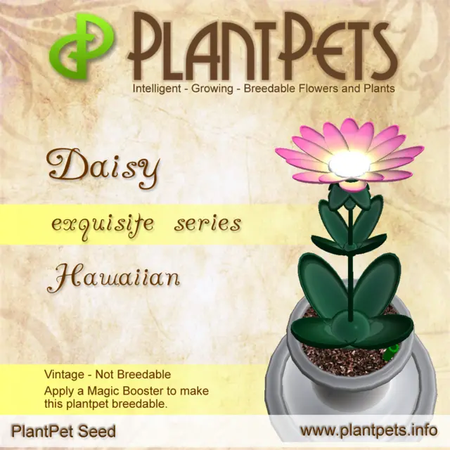 Poster for Daisy *Hawaiian*