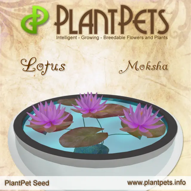 Poster for Lotus *Moksha*