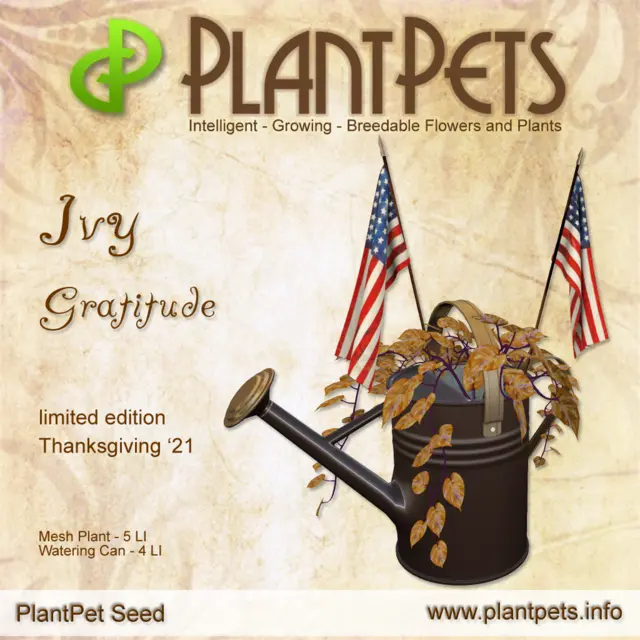 Poster for Ivy *Gratitude*