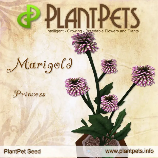 Poster for Marigold *Princess*