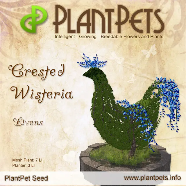 Poster for Crested Wisteria *Livens*