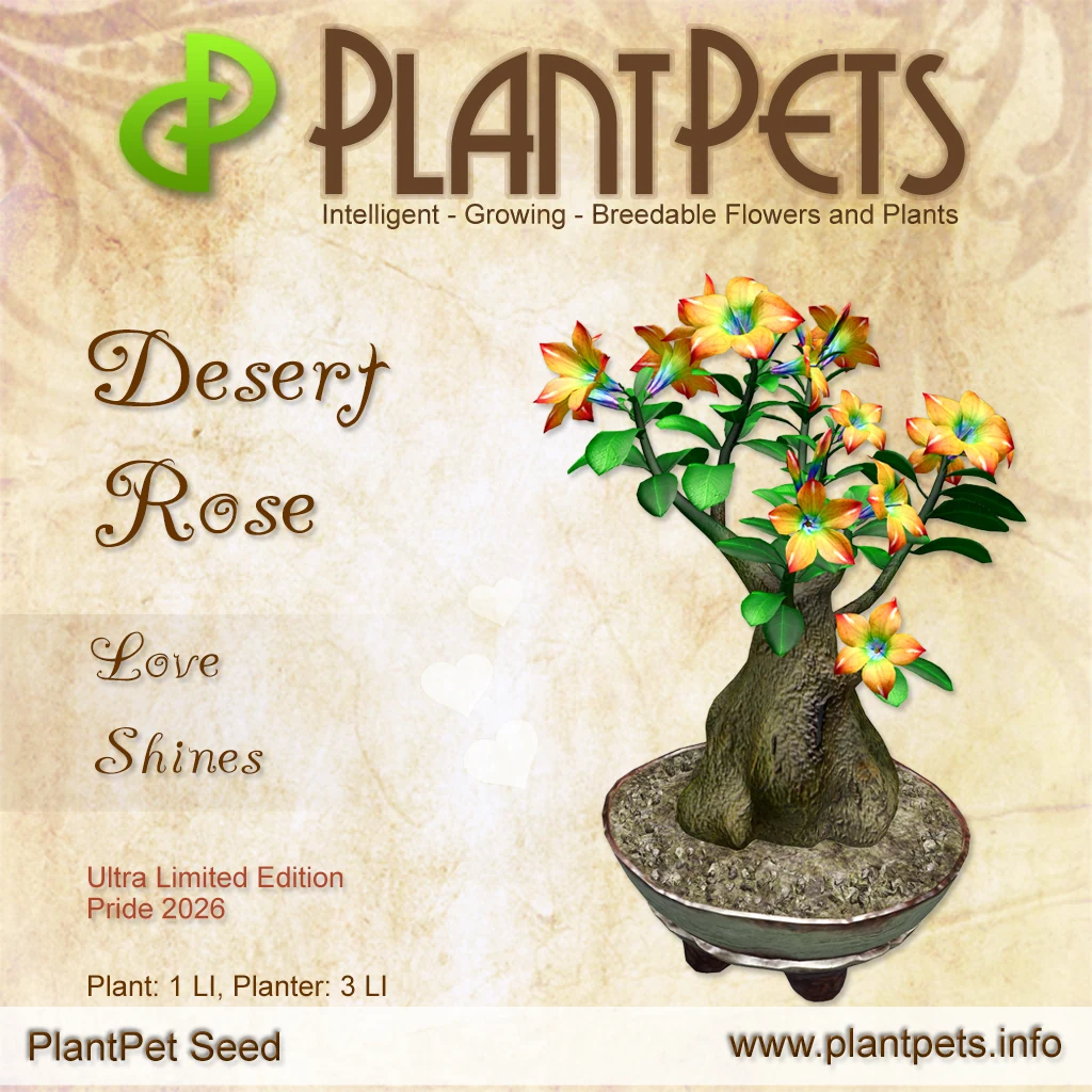 Poster for Desert Rose *Love Shines*