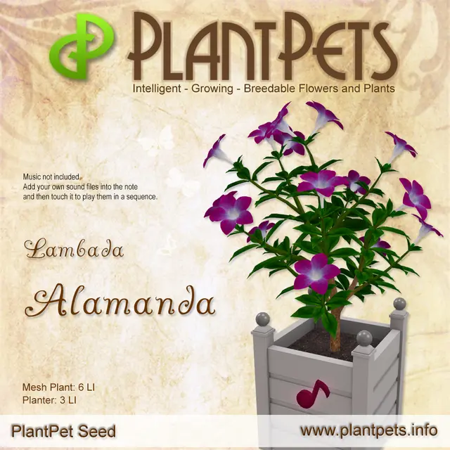 Poster for Alamanda *Lambada*
