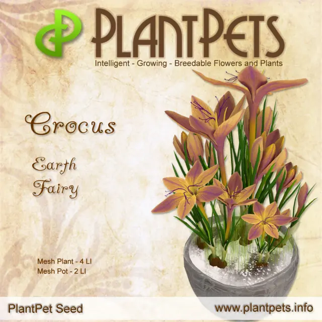 Poster for Crocus *Earth Fairy*