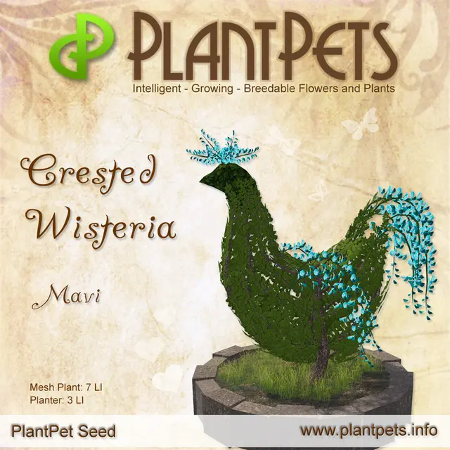 Poster for Crested Wisteria *Mavi*