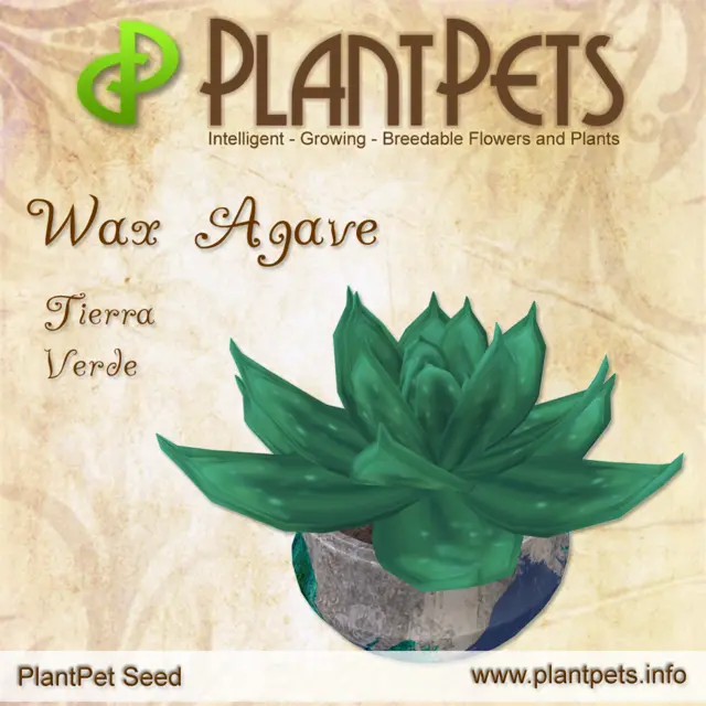 Poster for Wax Agave *Tierra Verde*