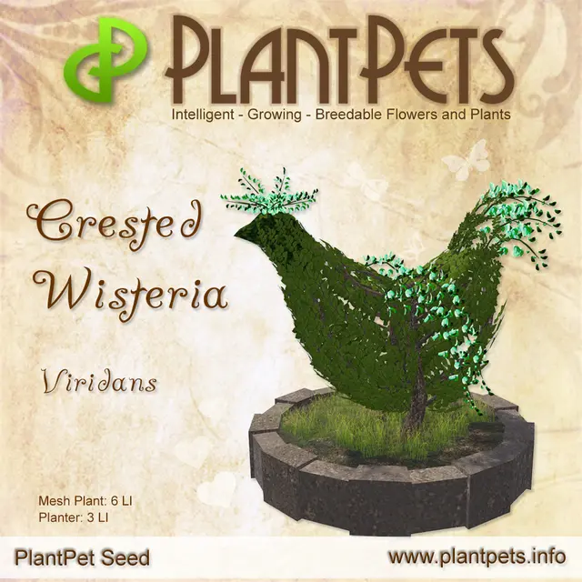 Poster for Crested Wisteria *Viridans*