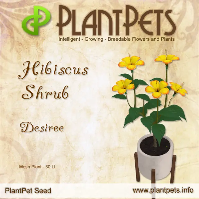 Poster for Hibiscus Shrub *Desiree*