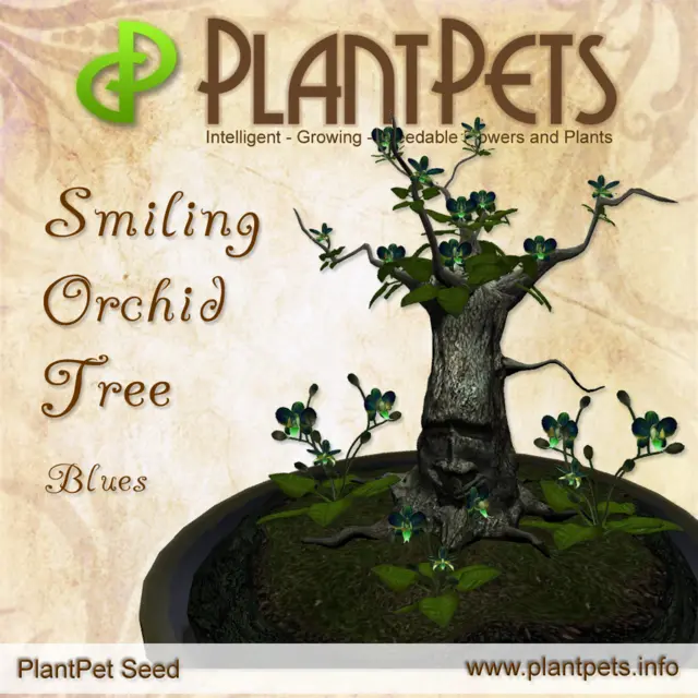 Poster for Smiling Orchid Tree *Blues*