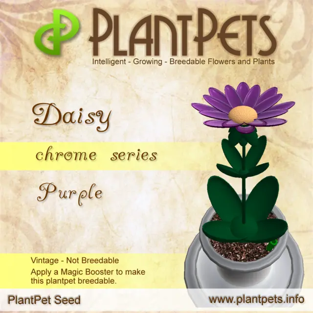 Poster for Daisy *Chrome Purple*