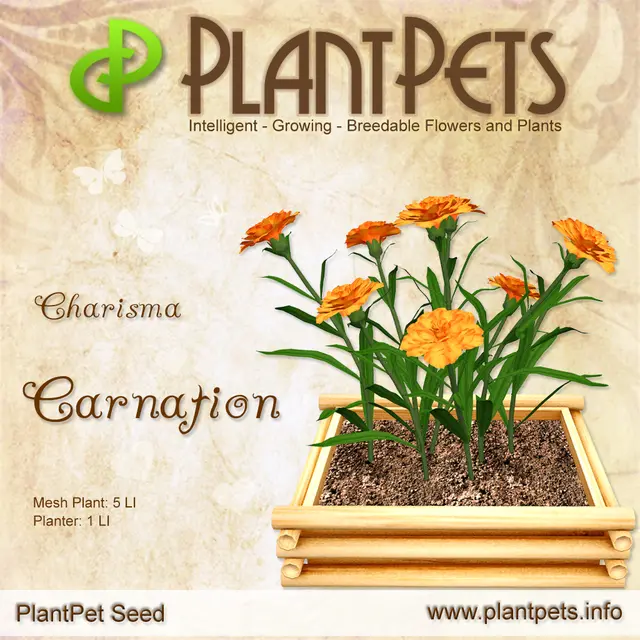 Poster for Carnation *Charisma*