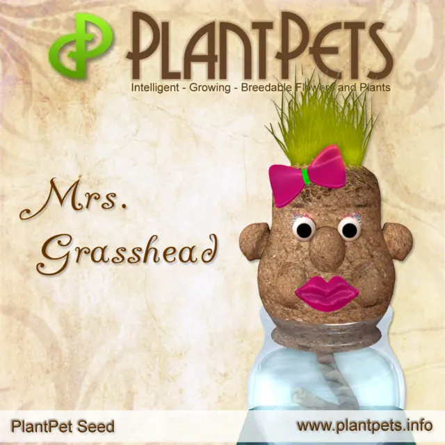 Poster for Mrs. Grasshead