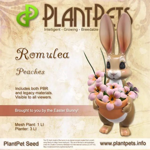 Poster for Romulea *Peaches*