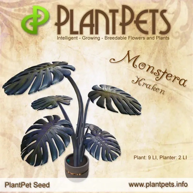 Poster for Monstera *Kraken*