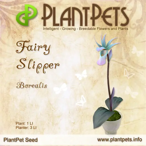 Poster for Fairy Slipper *Borealis*