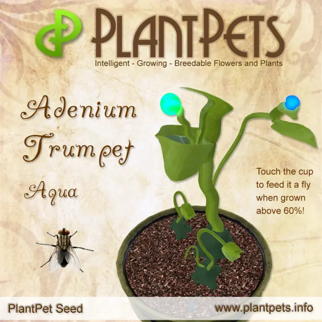 Poster for Adenium Trumpet *Aqua*