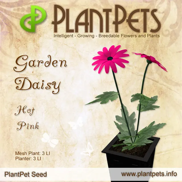 Poster for Garden Daisy *Hot Pink*