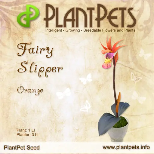 Poster for Fairy Slipper *Orange*
