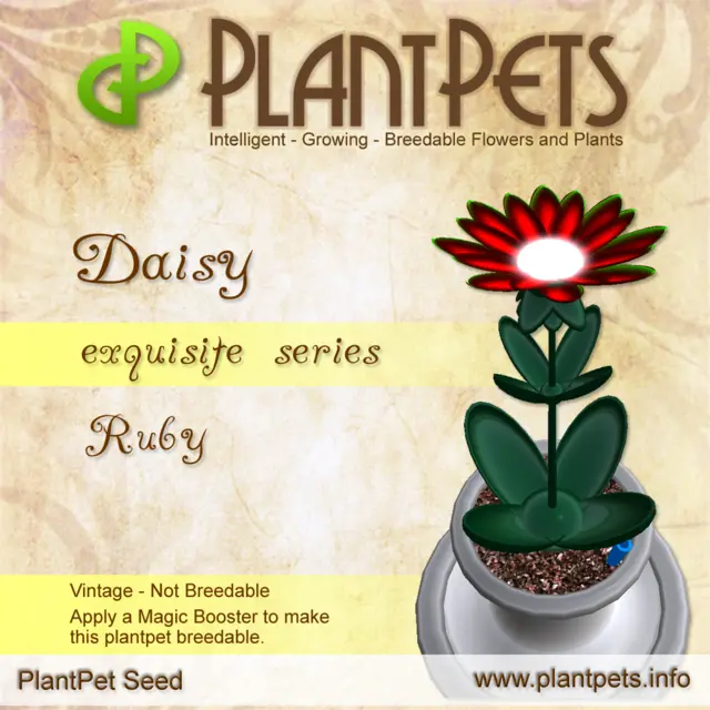 Poster for Daisy *Ruby*