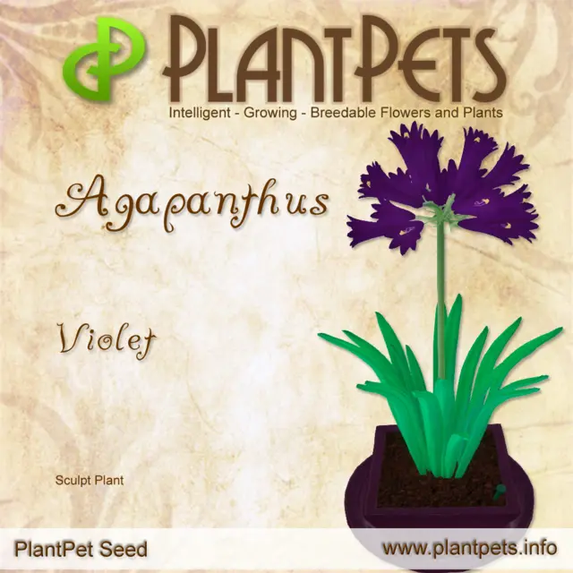 Poster for Agapanthus *Violet*