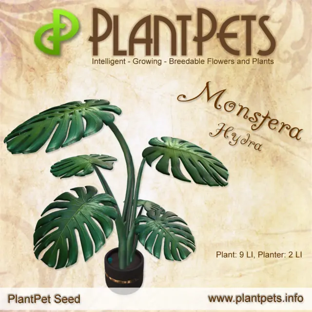 Poster for Monstera *Hydra*