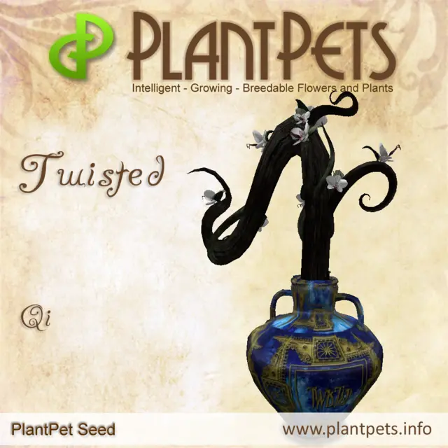 Poster for Twisted *Qi*