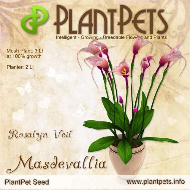 Poster for Masdevallia *Rosalyn Veil*