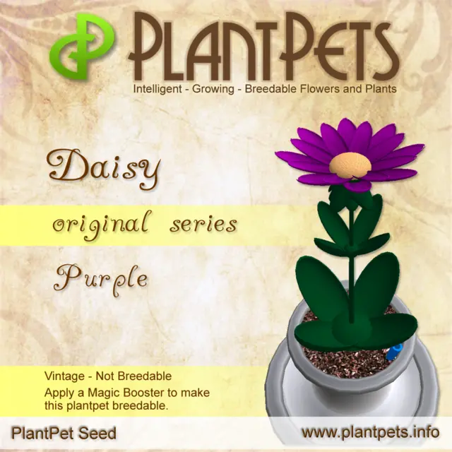 Poster for Daisy *Original Purple*