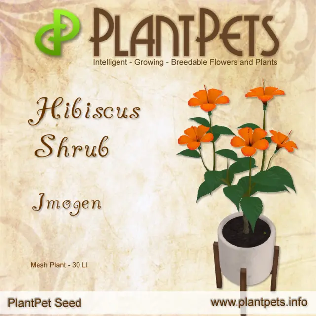 Poster for Hibiscus Shrub *Imogen*