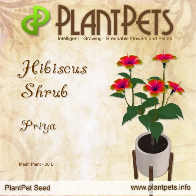 Poster for Hibiscus Shrub *Priya*