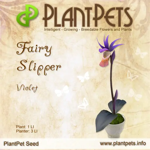 Poster for Fairy Slipper *Violet*