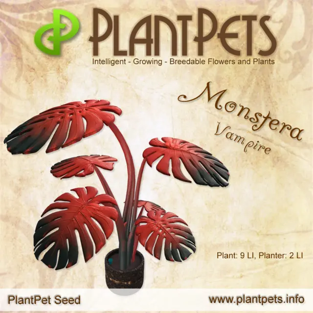 Poster for Monstera *Vampire*