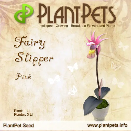 Poster for Fairy Slipper *Pink*