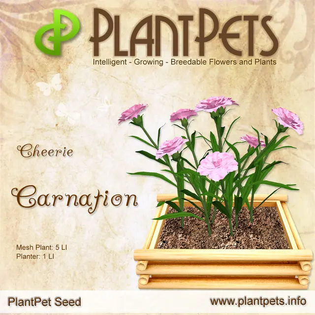 Poster for Carnation *Cheerie*