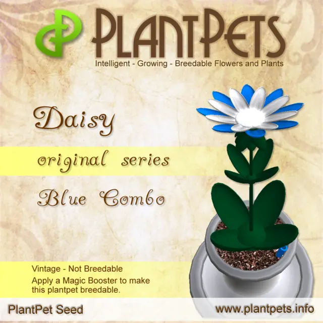 Poster for Daisy *Original Blue Combo*