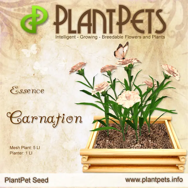 Poster for Carnation *Essence*