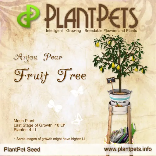 Poster for Fruit Tree *Anjou Pear*