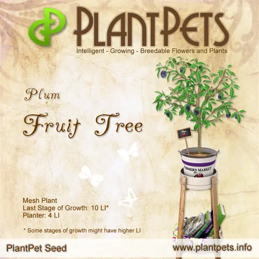 Poster for Fruit Tree *Plum*