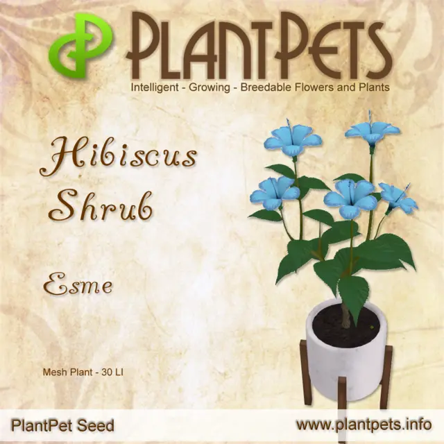 Poster for Hibiscus Shrub *Esme*