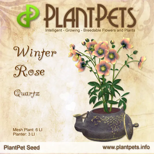 Poster for Winter Rose *Quartz*
