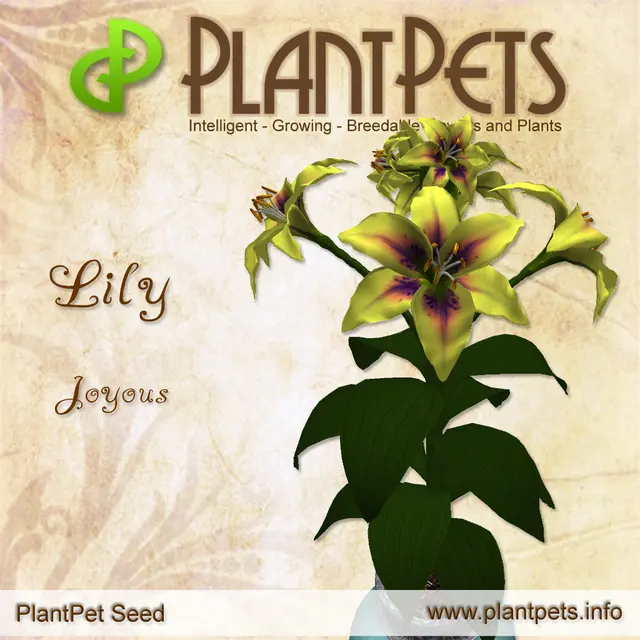 Poster for Lily *Joyous*