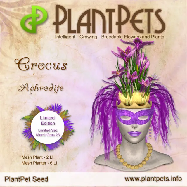 Poster for Crocus *Aphrodite*