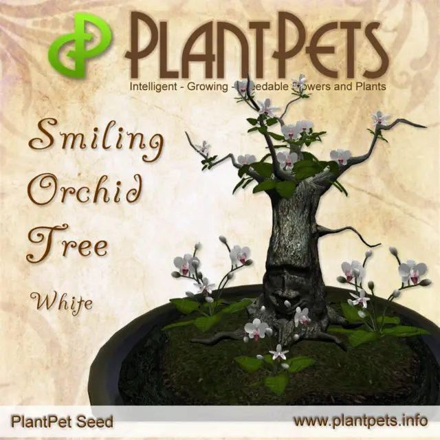 Poster for Smiling Orchid Tree *White*
